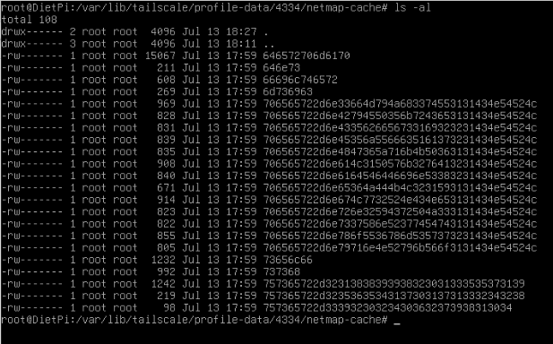 linux netmap-cache