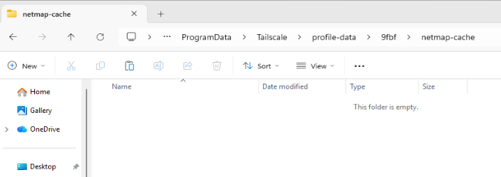 windows netmap-cache
